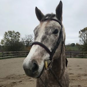 Meet your Posher, Erick